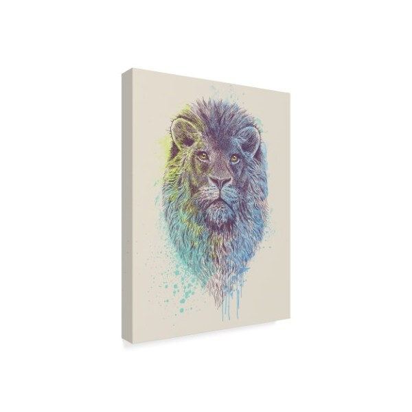 Rachel Caldwell 'Lion King Color' Canvas Art,18x24